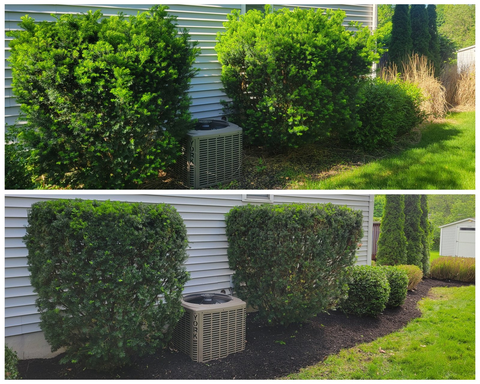 Landscape Maintenance